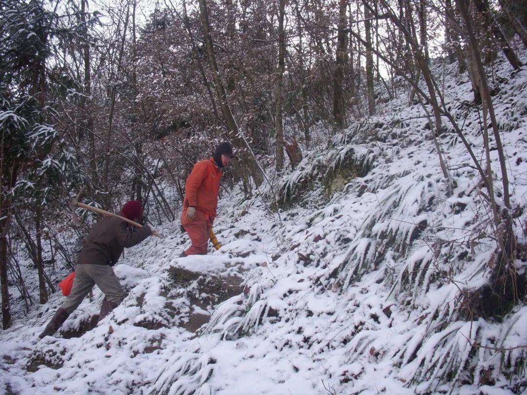 1670409943475028466.jpg 1.jpg