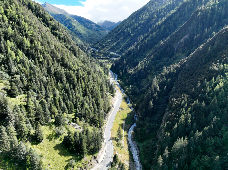 1696646608837046942.png 03.png