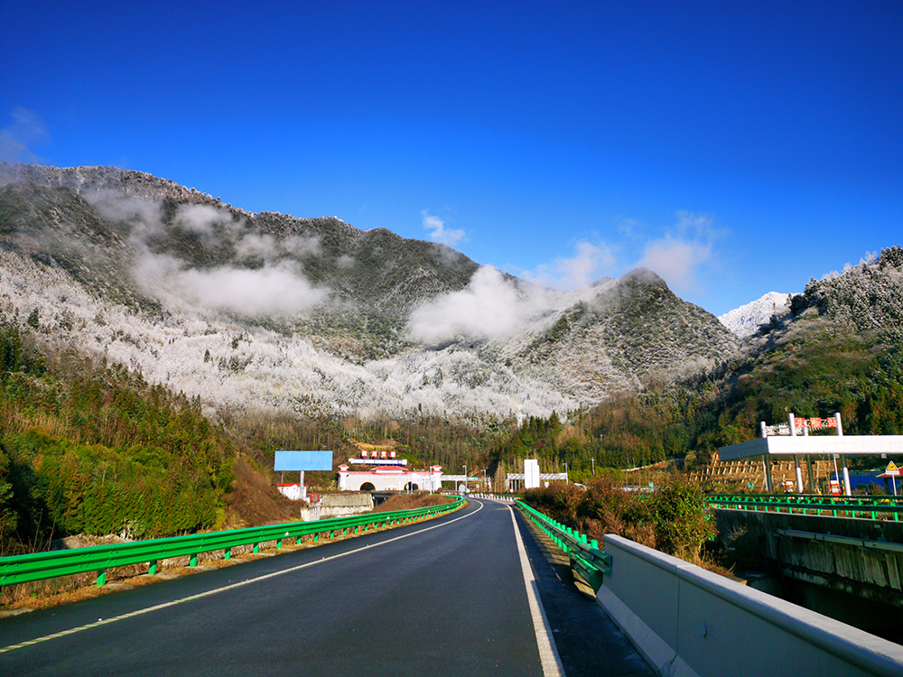 1698136607061012993.jpg 2.jpg