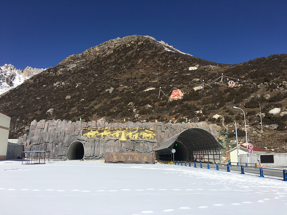 1698136612904017449.jpg 3.jpg